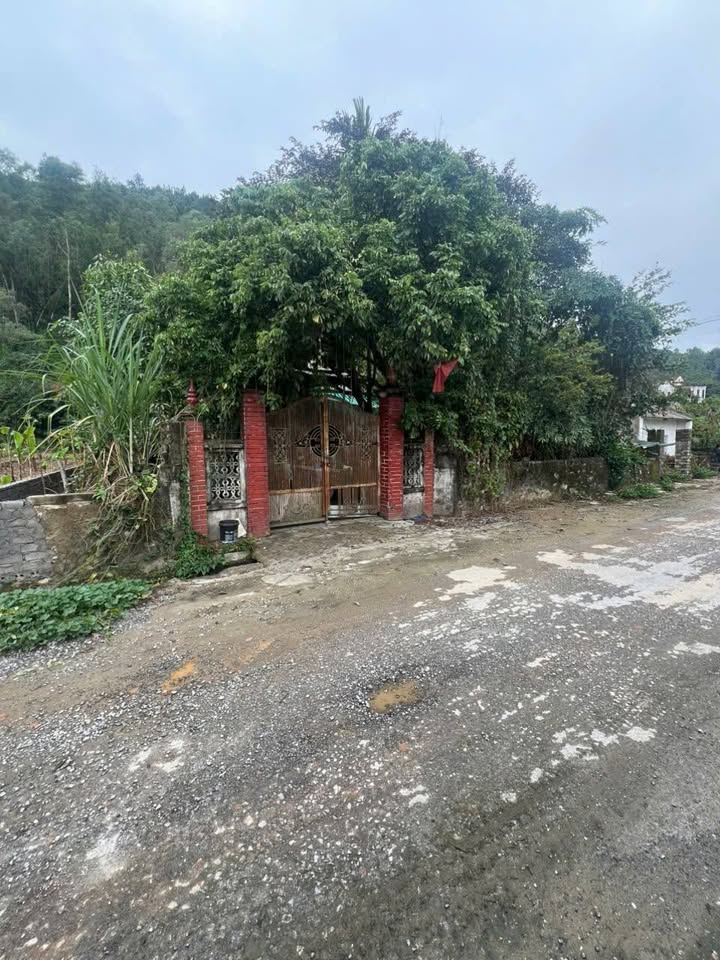 Đất nền Đông Tiến Thanh Hóa 535m² giá 6 tỷ - Đầu tư sinh lời ngay!