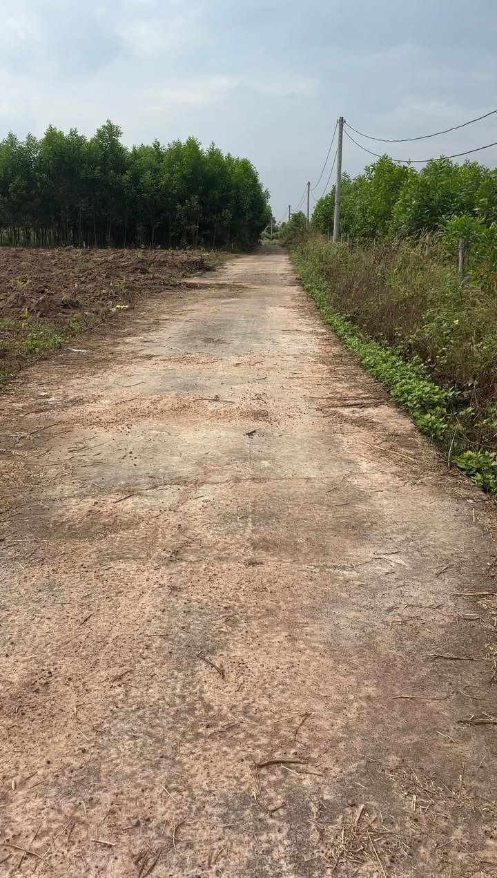 Đất nền 1000m² Suối Cao, Xuân Lộc - Mặt tiền 20m, giá thỏa thuận