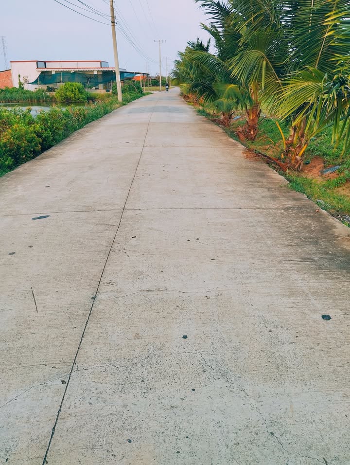 Đất nông nghiệp Thạnh Hải 4918m² - Gần biển, giá thỏa thuận hấp dẫn!