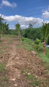 Đất nền Phú Xuân, Krông Năng 8.280m² giá 1.3 tỷ - Cơ hội đầu tư tuyệt vời!