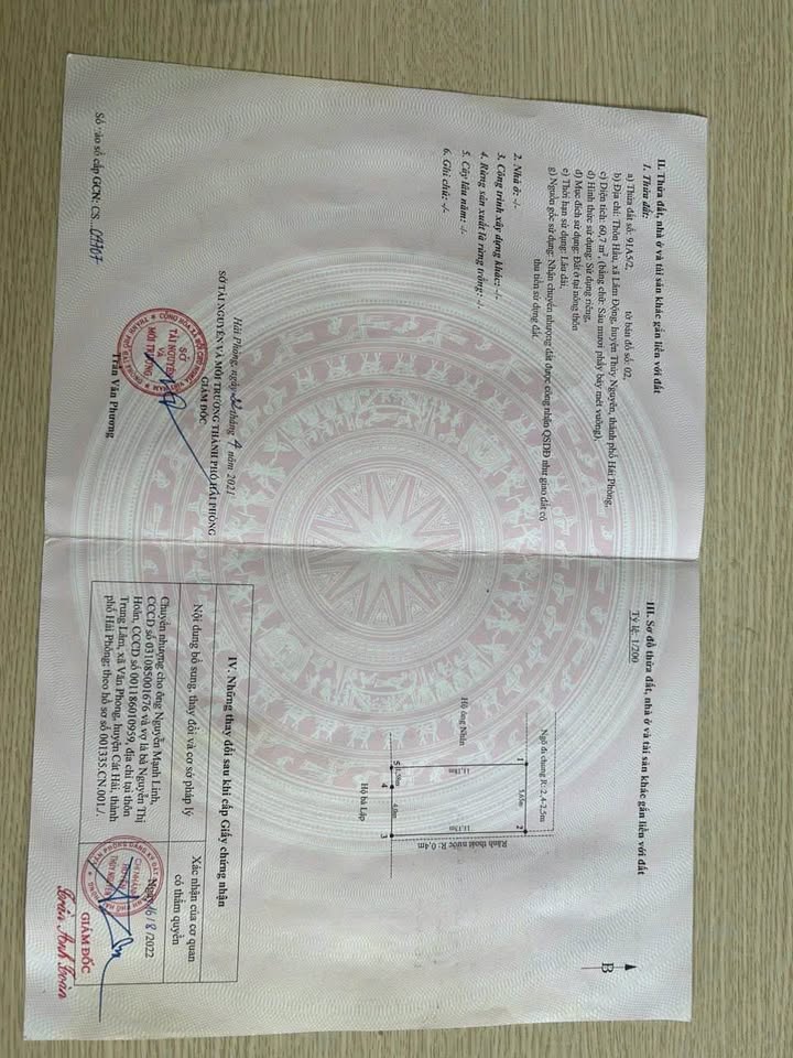 Đất Thổ Cư Thôn Hầu, Lâm Động 60.7m² giá 900 triệu - Pháp lý rõ ràng, không lỗi phong thủy!