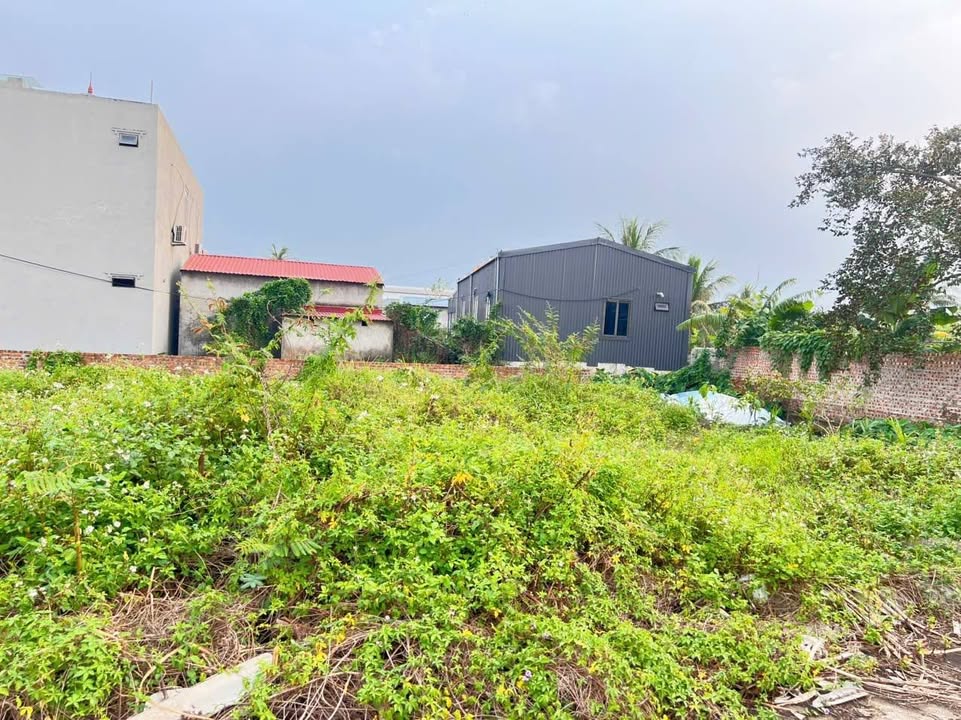 Đất thổ cư An Khánh, An Lão 61m² giá chỉ 900 triệu - Vị trí đắc địa, oto đỗ cửa!