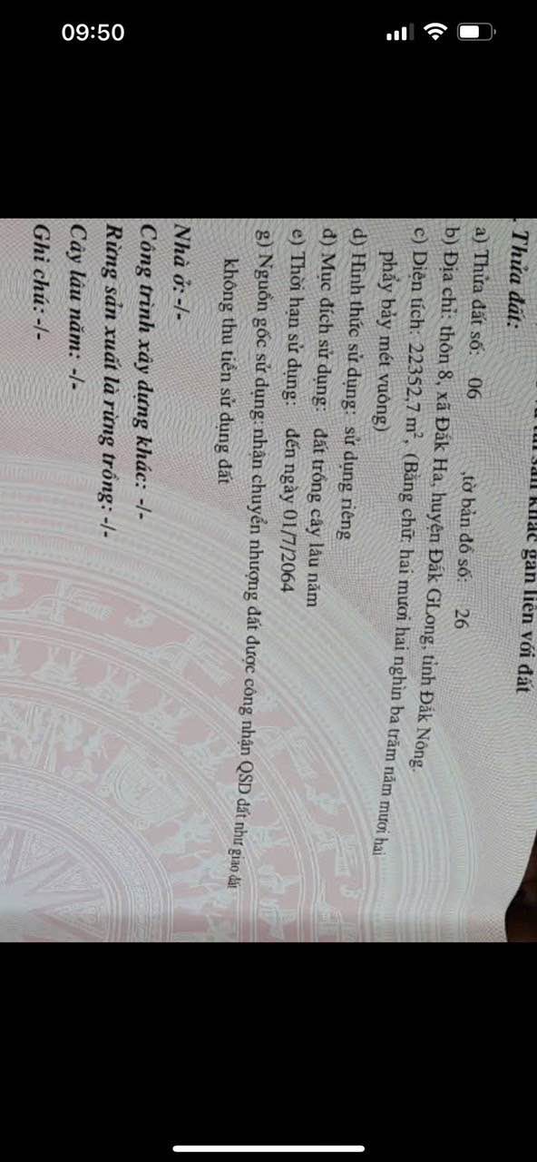 Đất trống 2,2ha tại Đắk Ha, Đắk Glong - Giá siêu rẻ chỉ 3,4 tỷ!