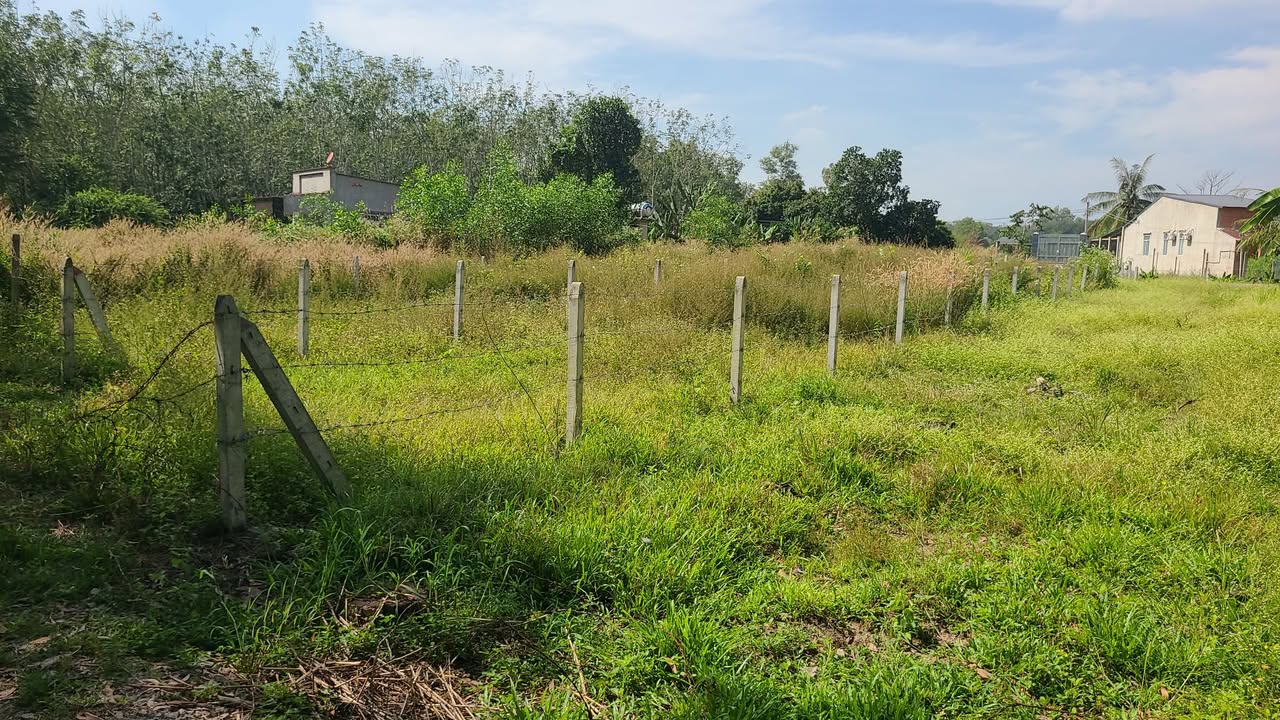 Đất 2 mặt tiền Trảng Bàng 1.536,9m² giá 2,5 tỷ - Cơ hội đầu tư hiếm có!