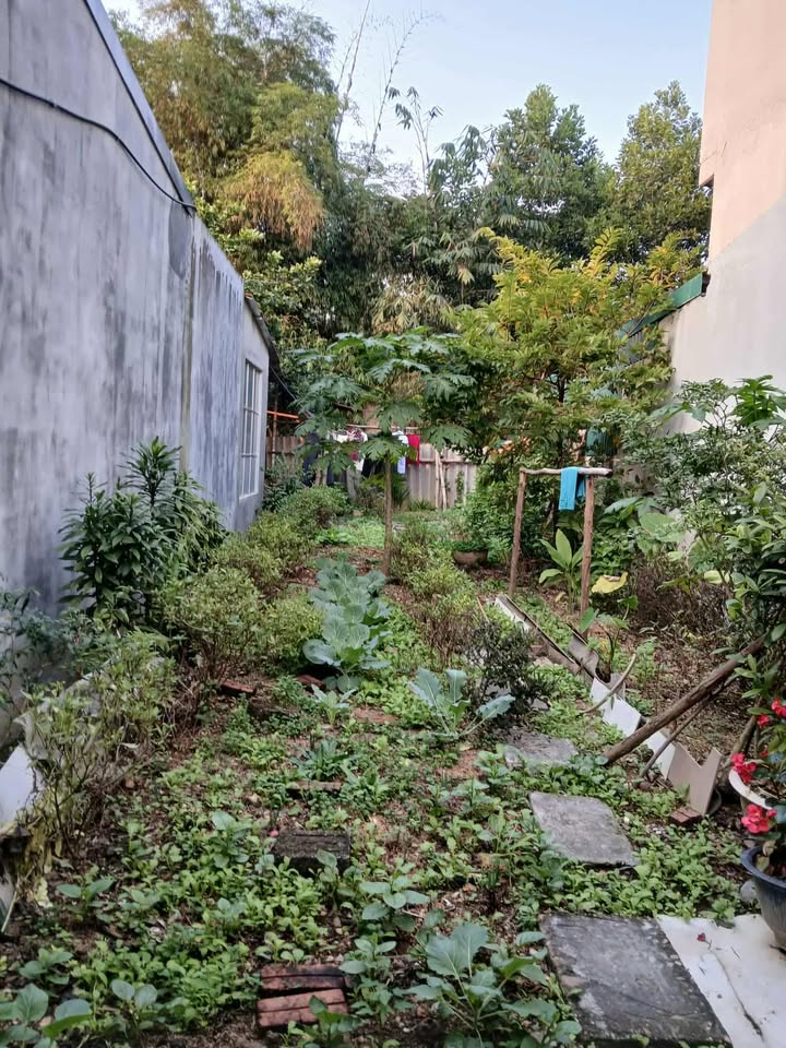 Đất nền 225m² tại xã Trung Môn, huyện Yên Sơn - Chỉ 1.3 tỷ, đầu tư ngay!