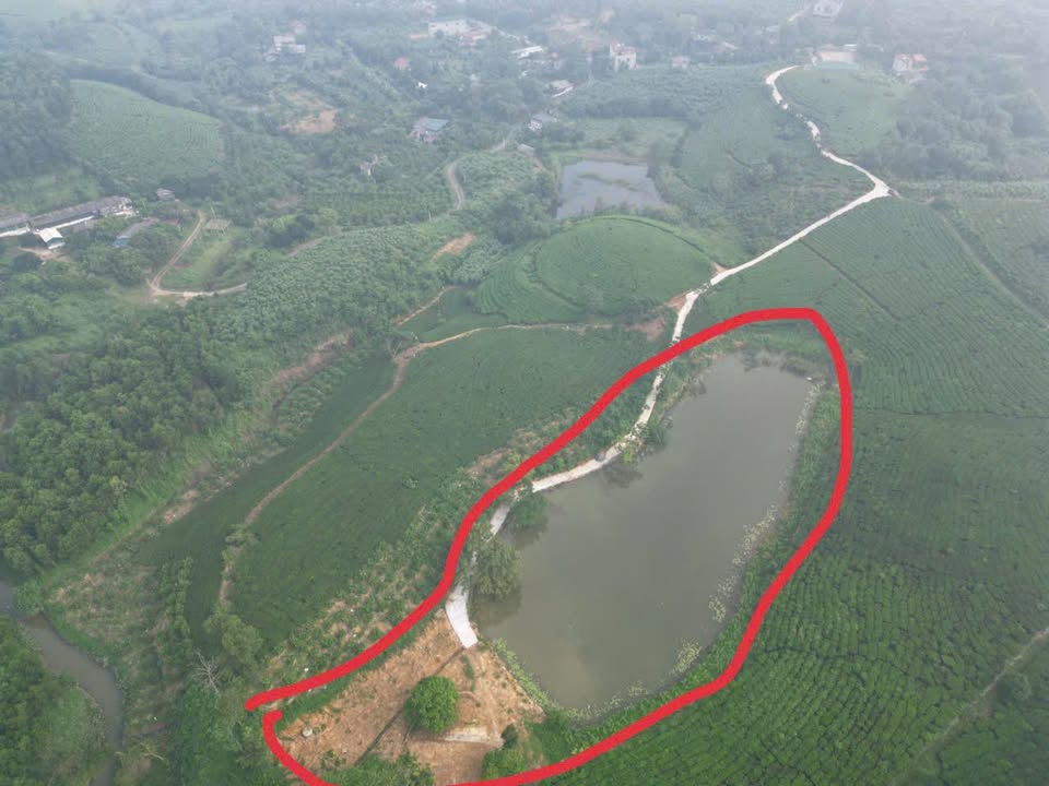 Đất Farm Ngọc Đồng Yên Lập 5508m² - Sổ đỏ chính chủ, kết nối thuận tiện!