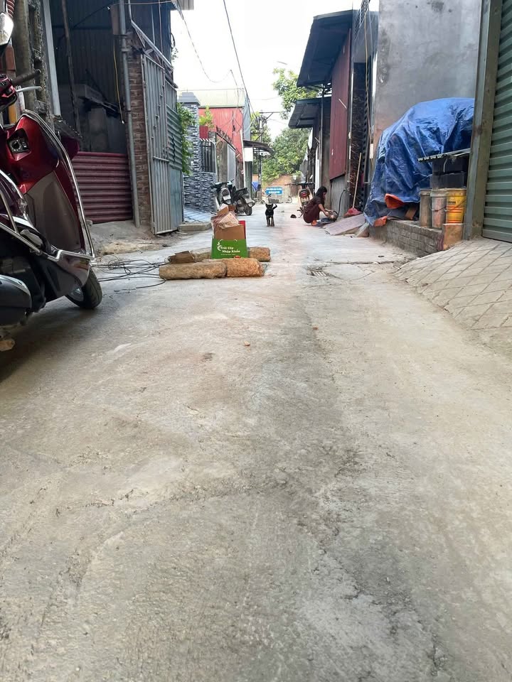 Đất thổ cư Thụy Lâm Đông Anh 72m² giá thỏa thuận - Đầu tư sinh lời hấp dẫn!