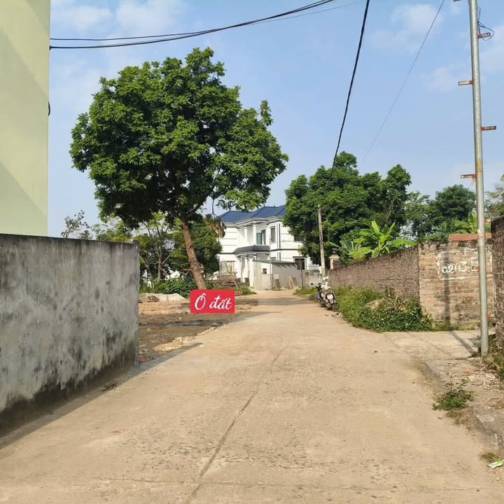 Đất nền Trung Mỹ Bình Xuyên 98m² giá 100 triệu - Cơ hội đầu tư hấp dẫn!