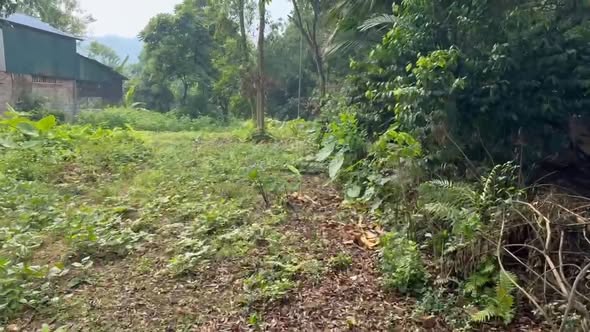 Đất nền 265m² tại đường TL 151, xã Xuân Giao, Bảo Thắng chỉ 600 triệu - Cơ hội đầu tư tuyệt vời!