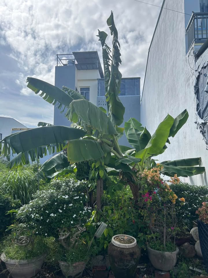 Lô đất tái định cư Mỹ Gia Nha Trang 100m² giá 6.05 tỷ - Cơ hội đầu tư sinh lời!