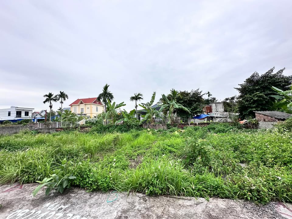 Đất nền An Dương, Hải Phòng 60,8m² giá 1 tỷ - Đầu tư sinh lời ngay!