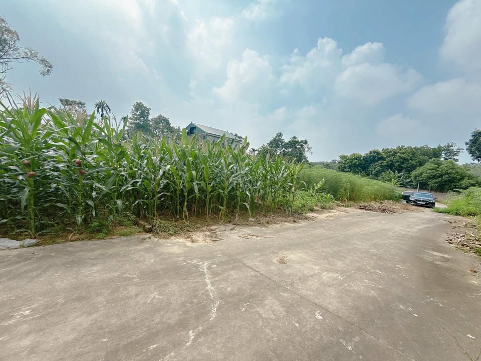 Đất nền Phường Phong Châu, Thị Xã Phú Thọ 120m² - Sổ đỏ chính chủ, giá tốt!