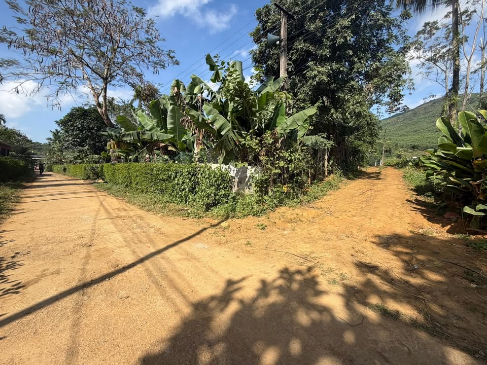 Đất nền liền kề tại xã Minh Sơn, huyện Ngọc Lặc 160m² giá 80 triệu - Cơ hội đầu tư tuyệt vời!