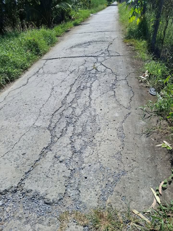 Đất ruộng Tân Phước Tiền Giang 14.000m² giá 1.19 tỷ - Mặt tiền ô tô thuận lợi!