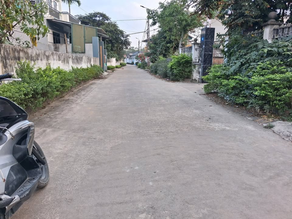 Đất nền Thanh Vân Tam Dương 300m² - Giá đầu tư hấp dẫn!