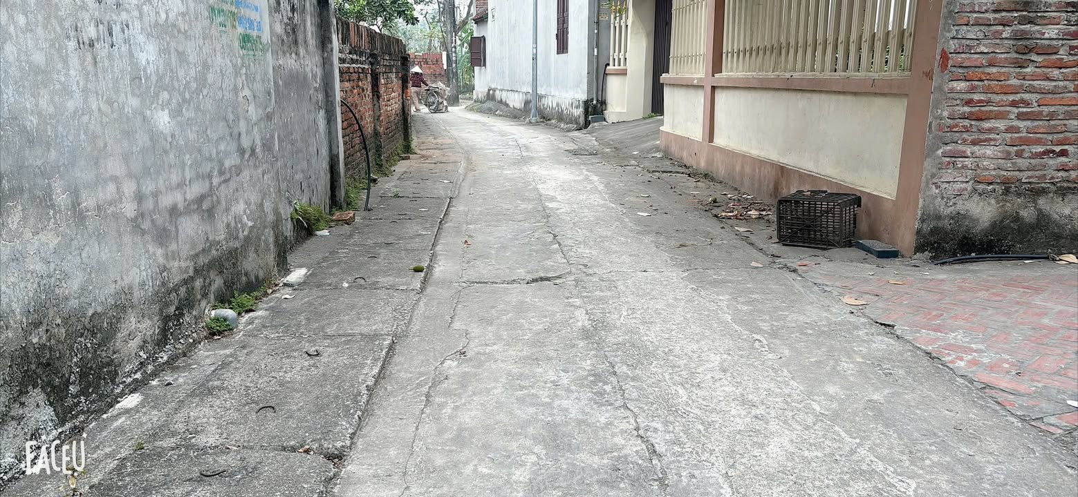 Đất nền Tuân Chính Vĩnh Tường 101m² giá 1 tỷ - Đường thông, ngõ thoáng!