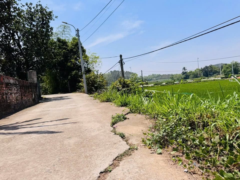 Đất nền Hồ Sơn, Tam Đảo 148m² giá chỉ 900 triệu - Mặt tiền đẹp, view thoáng đãng!