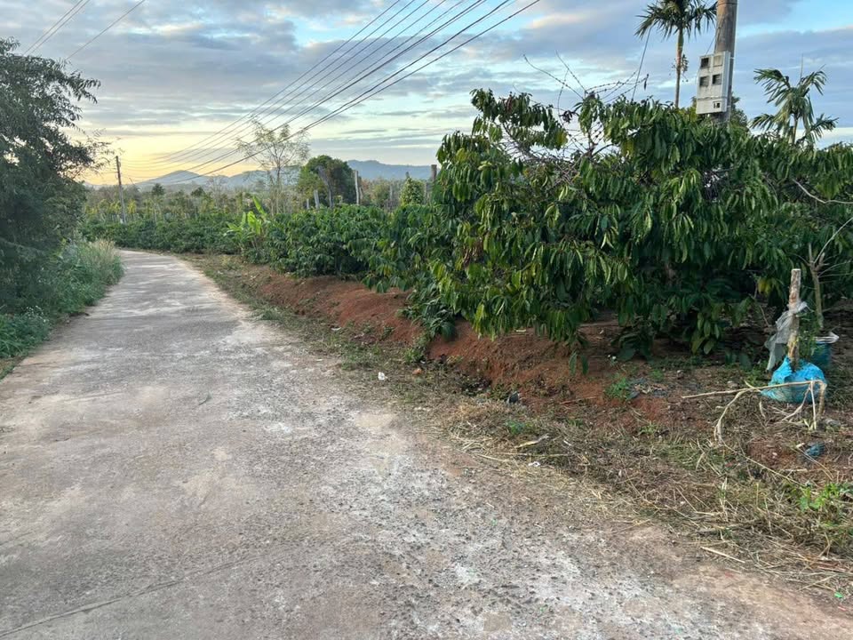 Đất thổ cư chính chủ tại xã Eamroh Cư M'gar 900m² giá 750 triệu - Mặt tiền đường bê tông thuận lợi!