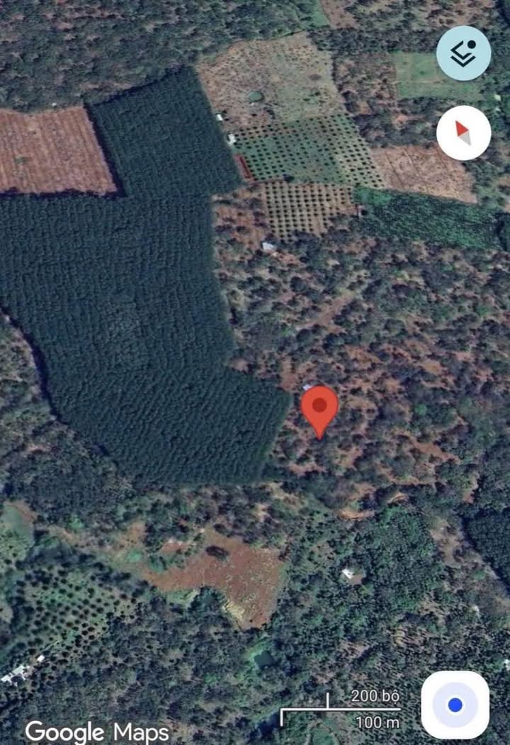 Đất sào Tân Hưng, Đồng Phú 7000m² giá 1.344 tỷ - Sổ đỏ chính chủ, đầu tư sinh lời!