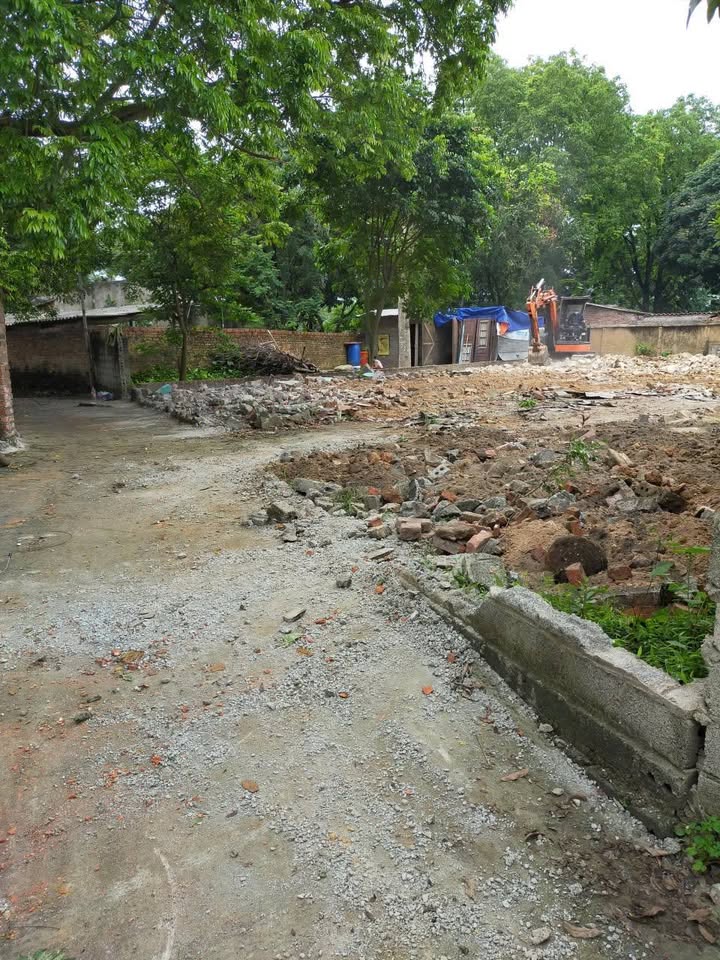 Đất nền Kim Long, Tam Dương 355m² - Mặt tiền 13m60, cơ hội đầu tư sinh lời!