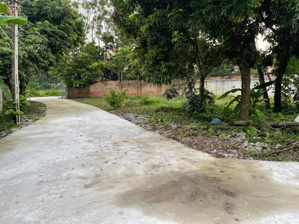 Đất nền Vĩnh Yên 8200m² - Gần nút giao IC4, sổ đỏ chính chủ!