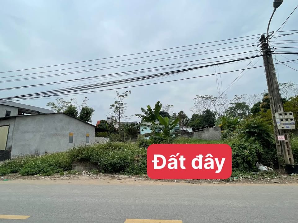 Đất kinh doanh Kim Long Tam Dương 137m² giá 1.5 tỷ - Sổ hồng chính chủ!