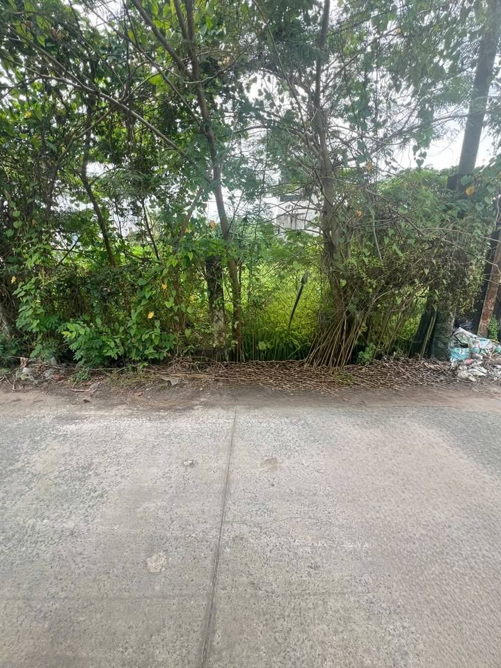 Đất thổ cư 140m² tại ấp Mới 1, Đức Hòa, Long An - Sổ hồng chính chủ, giá 1.5 tỷ!