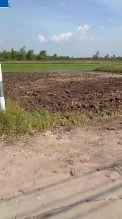 Đất nền liền kề xã Mỹ Thạnh Bắc, Đức Huệ 140m² chỉ 390 triệu - Cơ hội đầu tư hấp dẫn!