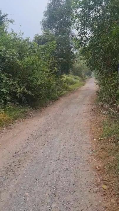 Đất nền Đức Hòa Thượng, Long An - 517m² giá chỉ 2.7 tỷ - Đầu tư sinh lời ngay!