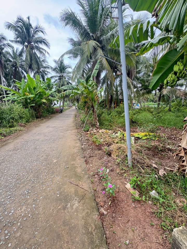 Đất vườn thổ cư Tân Phú Đông 250m² giá 320 triệu - Cơ hội đầu tư tuyệt vời!