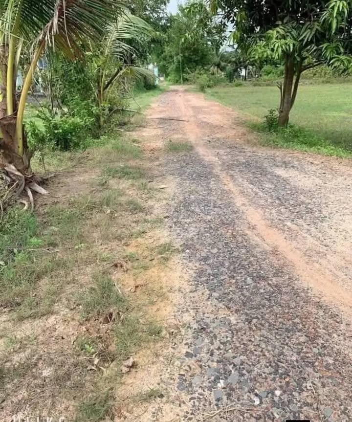 Đất Hiệp Hòa, Đức Hòa, Long An 151m² giá 550 triệu - Đất chính chủ, sổ hồng rõ ràng!