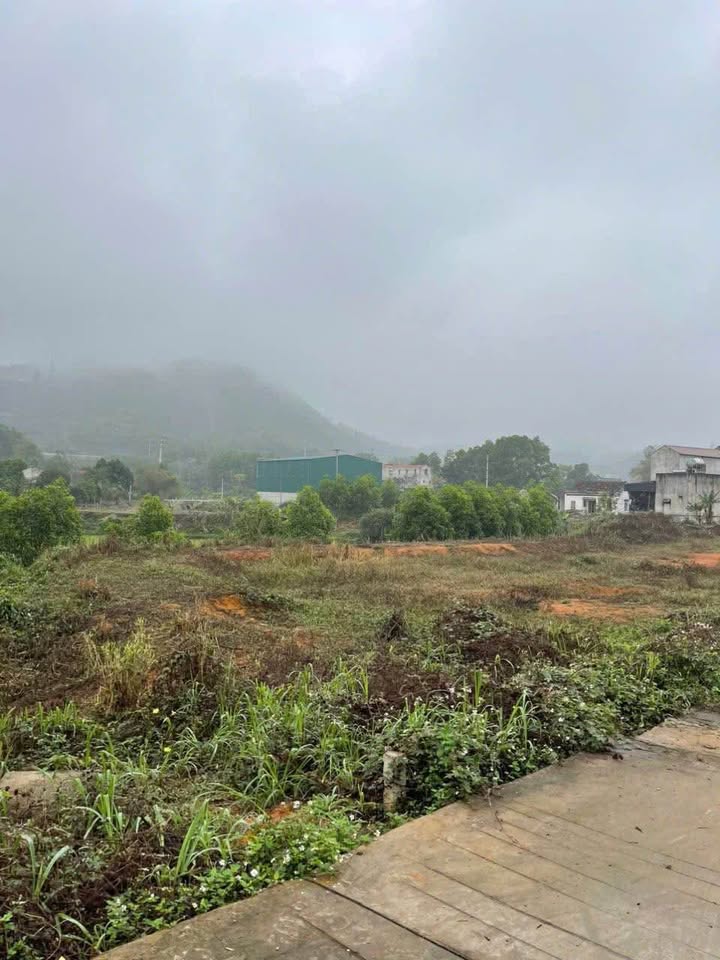 Đất thổ cư Tuyên Quang 200m² giá 800 triệu - Lô góc view thoáng mát