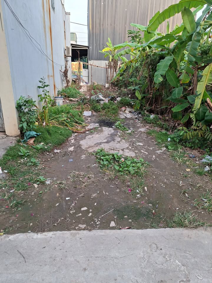 Đất dịch vụ Lại Yên Hoài Đức 50m² - Gần chợ, sổ đỏ chính chủ!