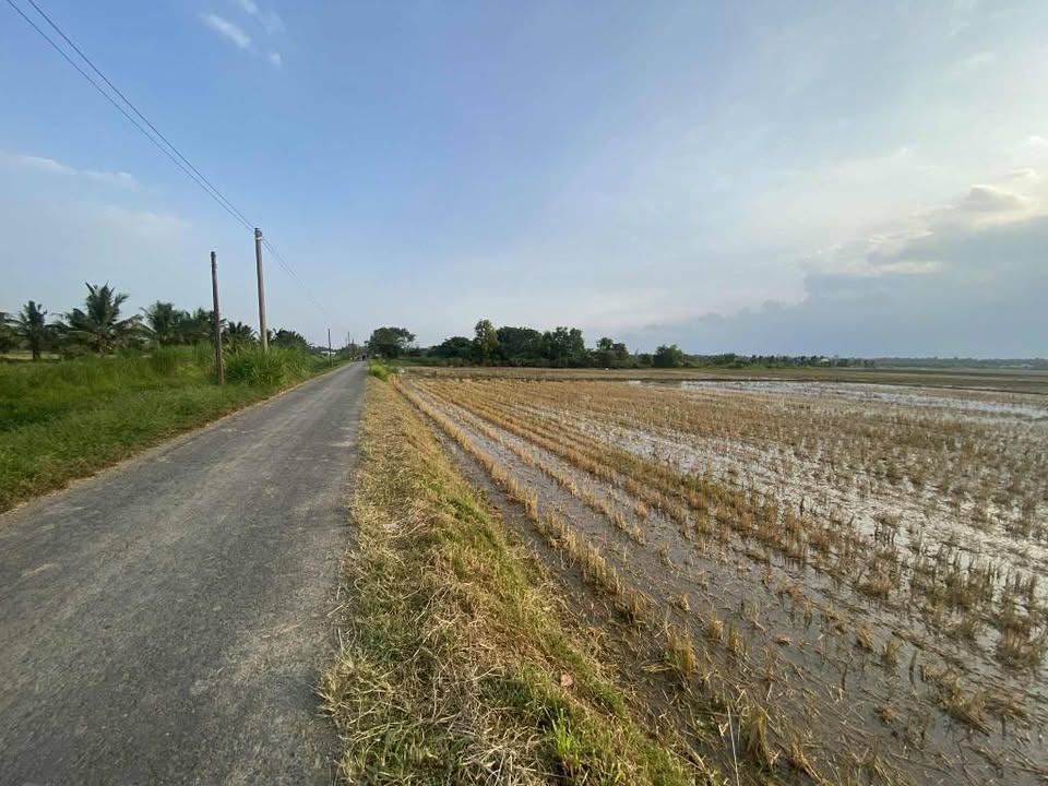 Đất nền mặt tiền Hòa Lạc 30.000m² giá 1.05 tỷ - Cơ hội vàng đầu tư!