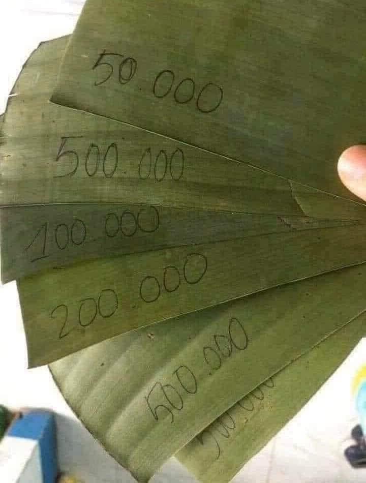 Đất Quảng Thọ Sầm Sơn 150m² giá 1.4 tỷ - Đường thông rộng 7m