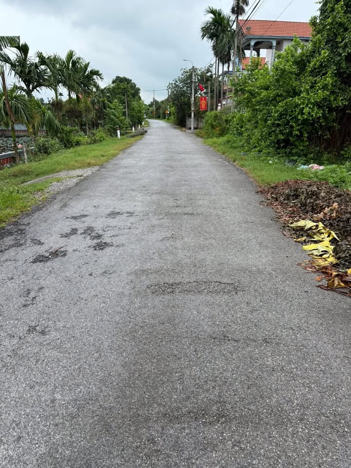 Đất nền Bồ Đề Bình Lục 200m² giá chỉ 1 tỷ - Cơ hội đầu tư hấp dẫn!