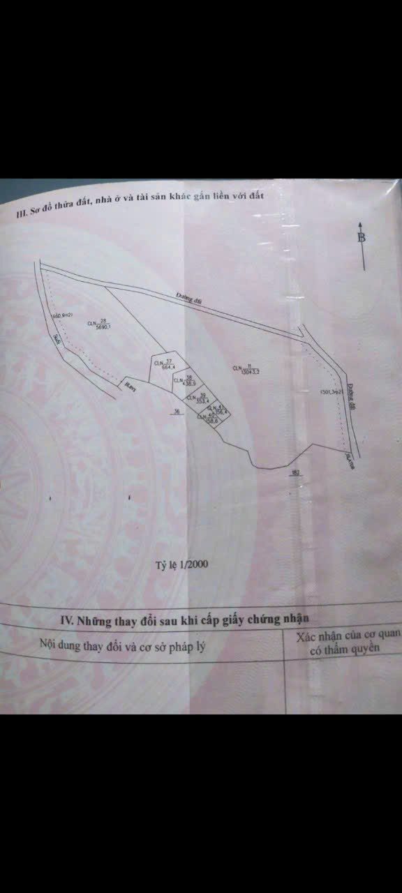 Đất cao su 2ha tại xã Tân Định, Bắc Tân Uyên - Đầu tư sinh lời hấp dẫn!