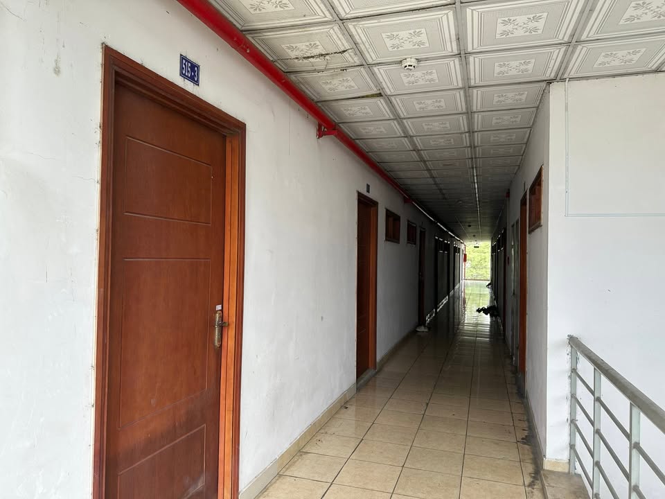 Căn hộ cho thuê Đường Trần Đại Nghĩa, Bình Tân 30m² - Giá chỉ từ 2,5 triệu/tháng!