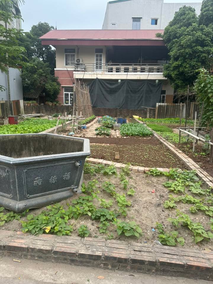 Đất nền Như Quỳnh, Văn Lâm 74m² giá 4xx tỷ - Vị trí đẹp, cơ hội đầu tư tuyệt vời!