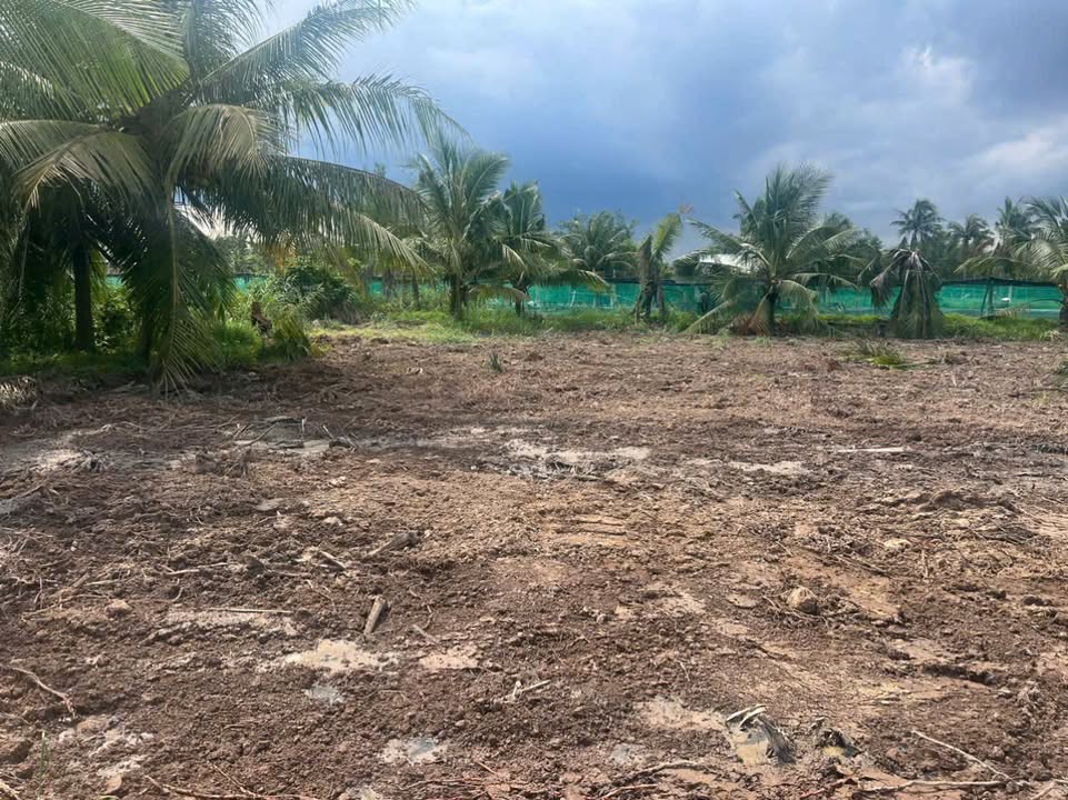 Đất nền Long Mỹ Giồng Trôm Bến Tre 276m² giá 250 triệu - Cơ hội đầu tư tuyệt vời!