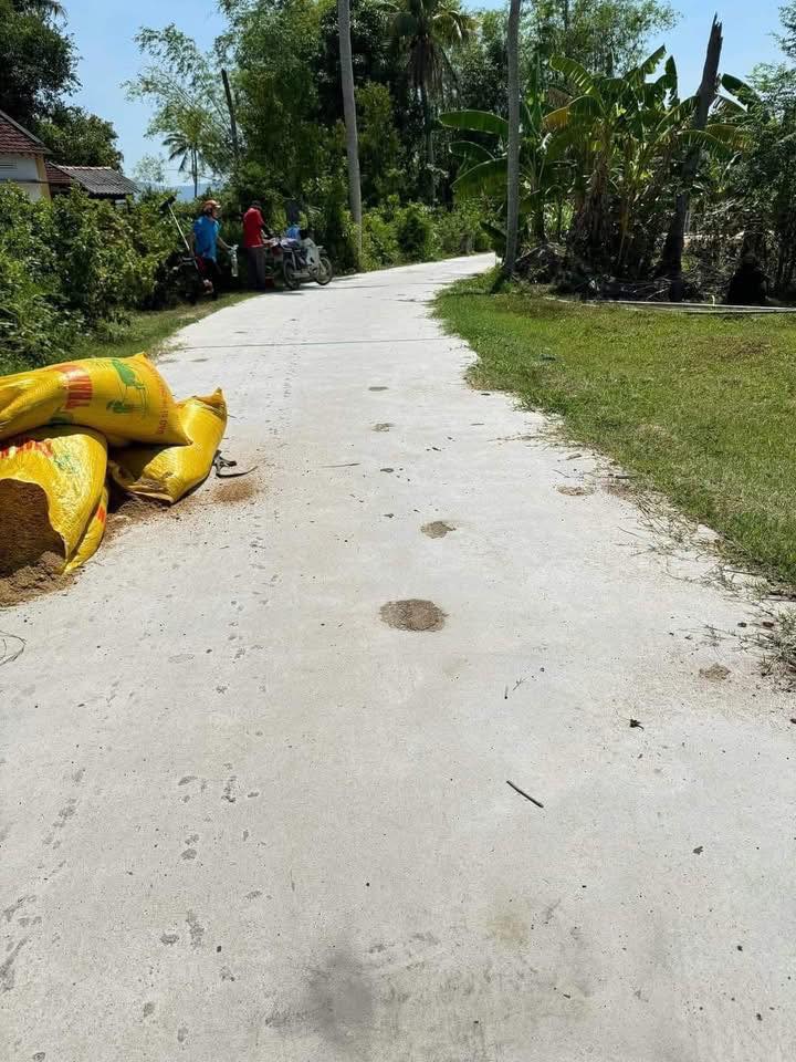 Đất nền Phù Mỹ Bình Định 160m² giá chỉ 1xx triệu - Sổ đỏ chính chủ