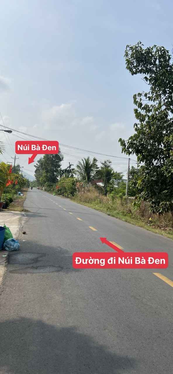 Lô đất 169.6m² tại Phước Ninh, Dương Minh Châu giá 250 triệu - Cần bán gấp!