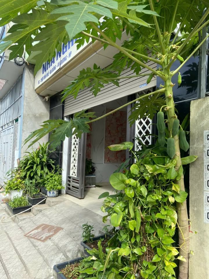 Nhà nghỉ mặt tiền Đường Máng An Đồng 50m² giá 4 tỷ - Đầu tư sinh lời ổn định!