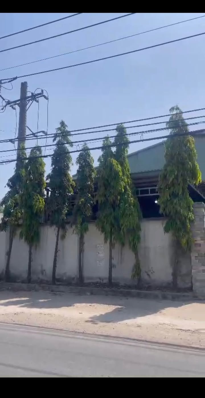 Nhà xưởng mặt tiền đường Thanh Niên, Bình Chánh 1000m² giá 18 tỷ - Đầu tư sinh lời ngay!