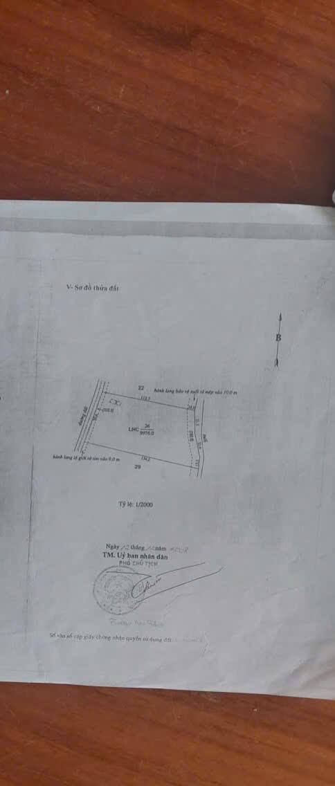 Đất nền 10000m² tại Ấp 5, Đồng Nơ - Giá chỉ 5.5 tỷ, cơ hội đầu tư tuyệt vời!