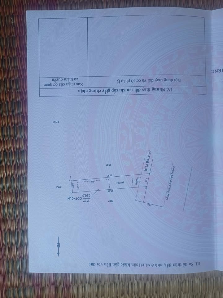 Đất nền 2220m² Đường Lê Hồng Phong, Chơn Thành - Giá chỉ 1.1 tỷ, sổ hồng chính chủ!