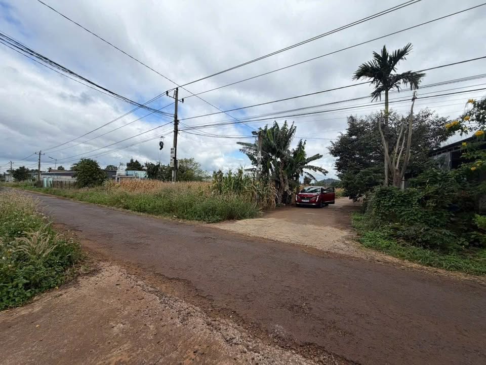 Đất thổ cư Cư Suê 175m² giá chỉ 695 triệu - Mặt tiền đường nhựa, vị trí đắc địa!