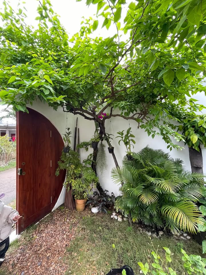 Nhà vườn Hòa Hiệp Bắc 113.7m² giá 2.6 tỷ - Thiết kế hiện đại, sẵn sàng vào ở ngay!