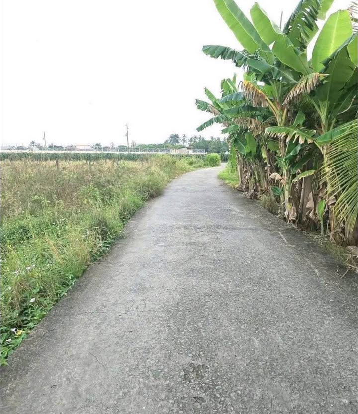 Đất thổ cư 150m² tại Tầm Vu, Châu Thành - Giá chỉ 430 triệu!