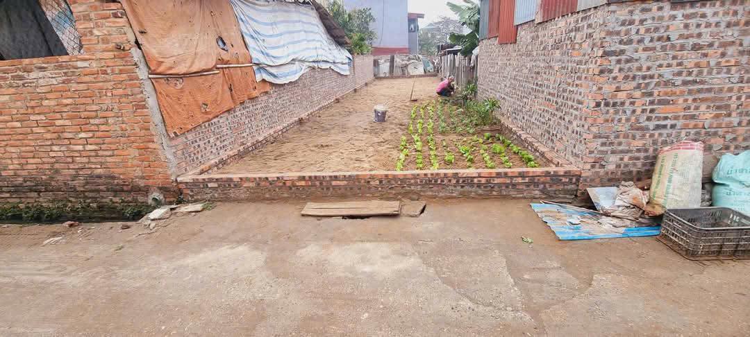 Đất 87m² tại xã Xuân Nộn, Đông Anh - Sổ hồng đầy đủ, giá đầu tư hấp dẫn!